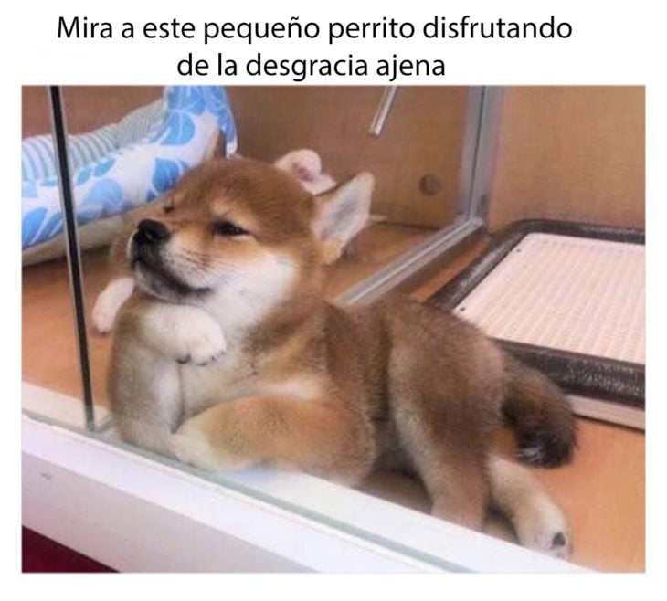 que linda es la vida