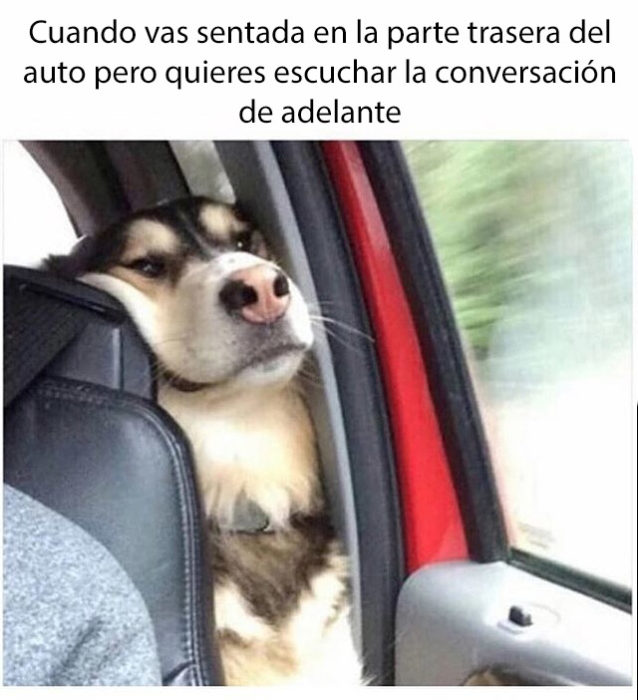 el chisme es primero