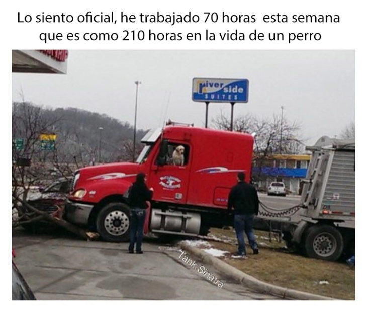 es solo un pequeño accidente