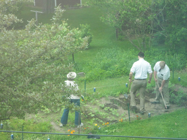 mormones ayudando en el jardín