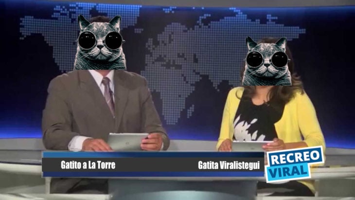 noticiero