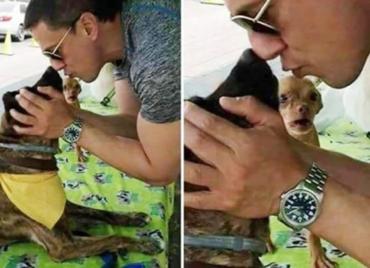hombre besa a perro mientras otro lo ve con cara de traición