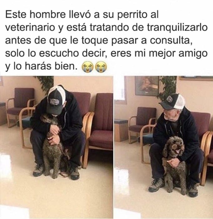 veterinario perrito