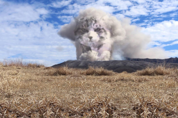 gato editado como mufasa en el humo