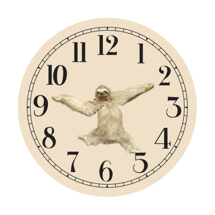 sloth7