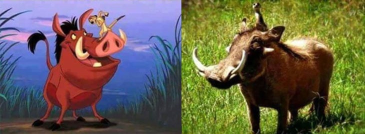 timón y pumba en la vida real