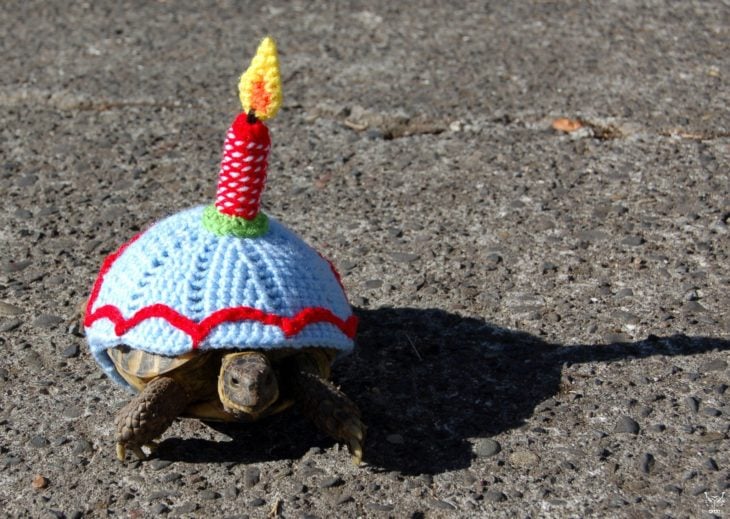 tortuga cumpleaños