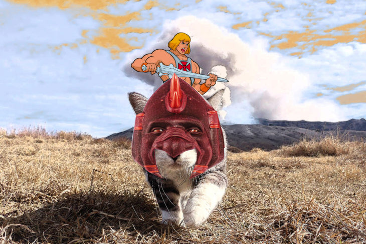 he man arriba de un gato