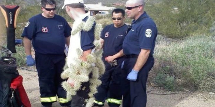 Joven lleno de cactus