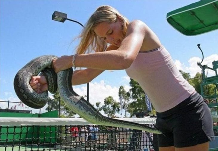 serpiente busca algo en el short de chica