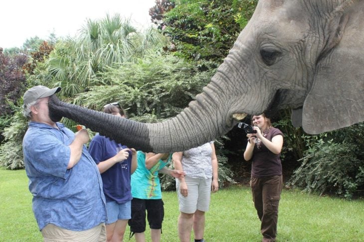 elefante con trompa en la cara de turista