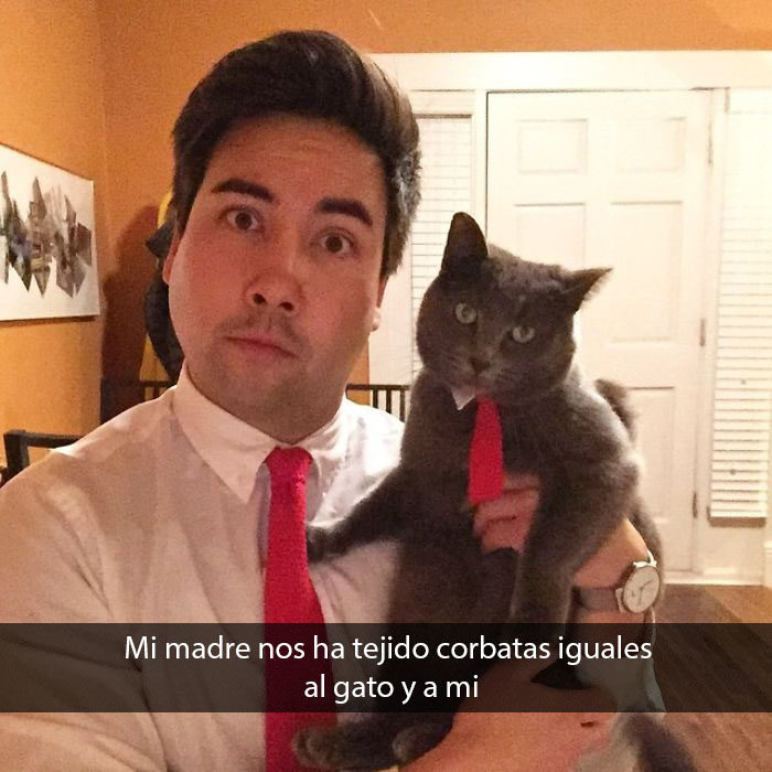 a falta de pareja, mi gato