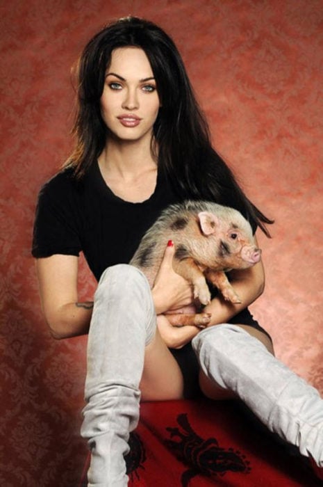Meg Ryan con cerdo