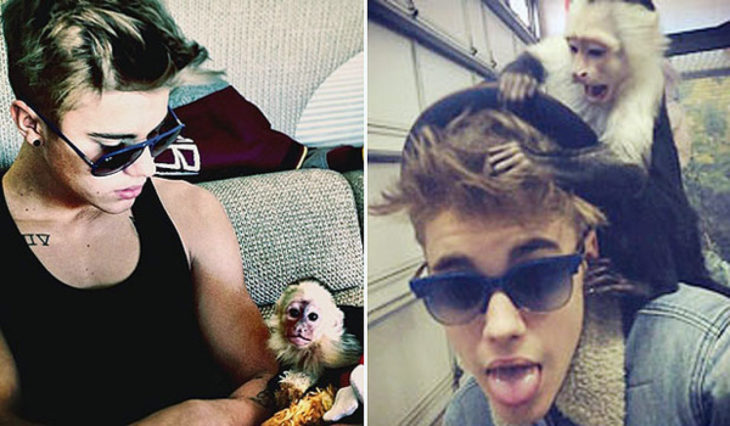 Justin Bieber con un mono