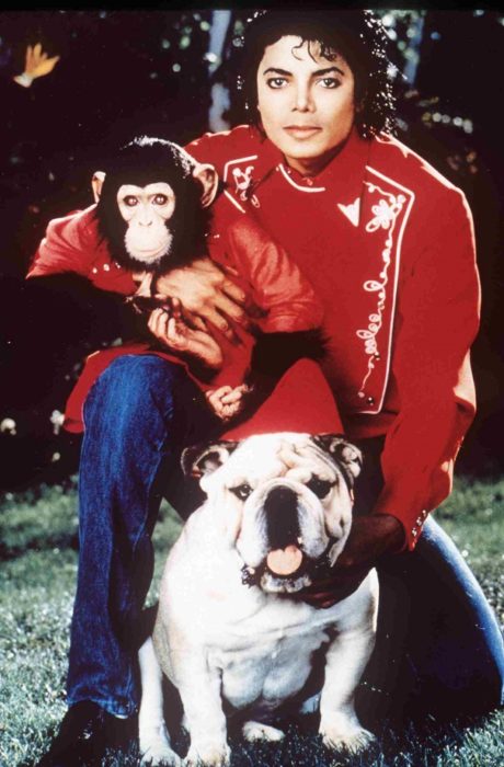 Michael Jackson con mono 