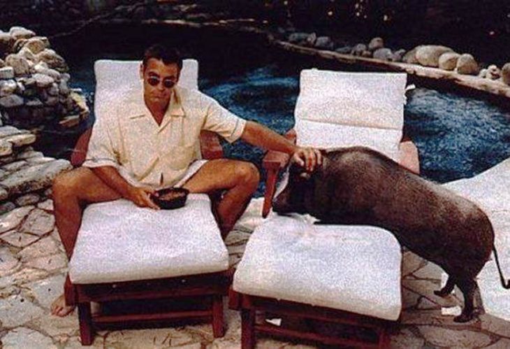 George Clooney con cerdo 