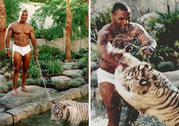 Mike Tyson con tigre