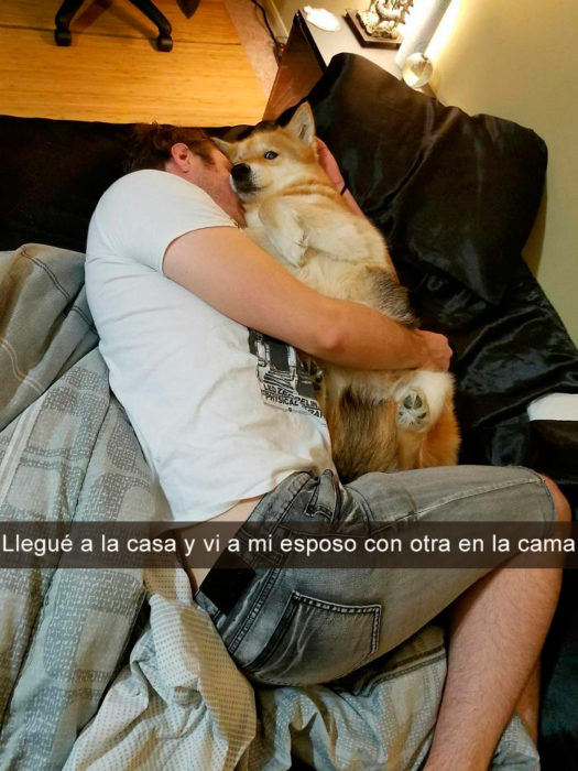 hombre y shiba acostados 