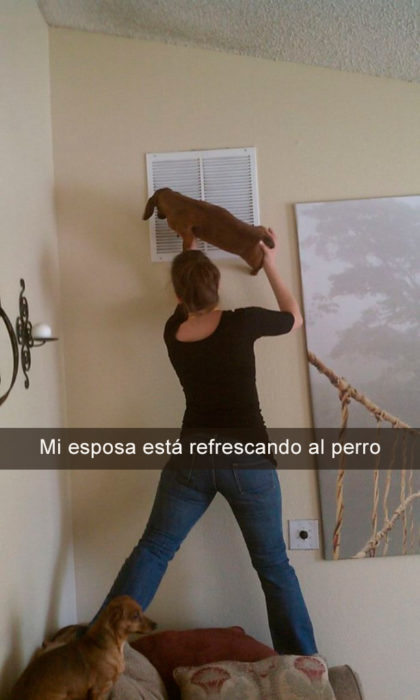 mujer sosteniendo perro enfrente de aire acondicionado