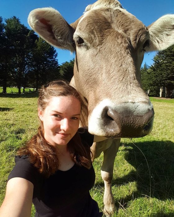Selfie chica y su vaca