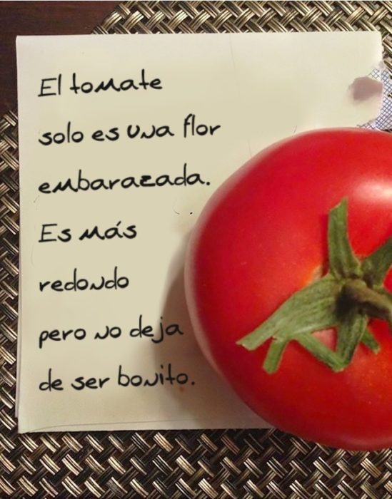 Tomate una flor embarazada