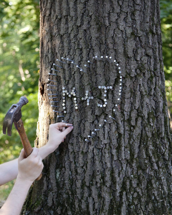 no martillar en un arbol