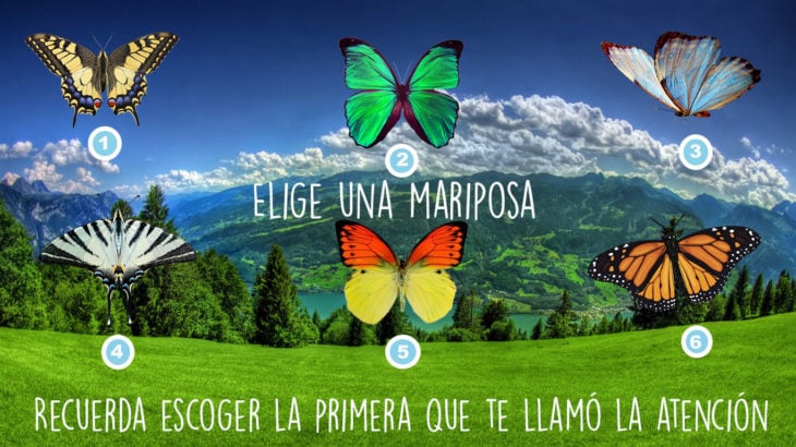 test de las 6 mariposas