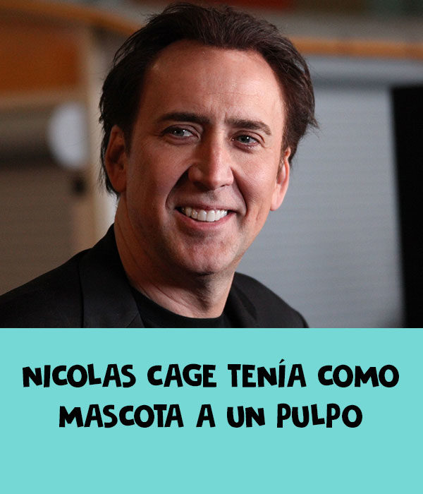 nicholas cage molusco