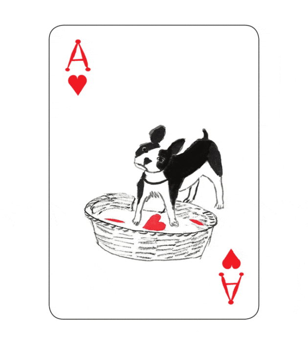 POKER CORAZONES PERRITO CAMA