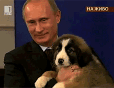 presidente rusia putin perro