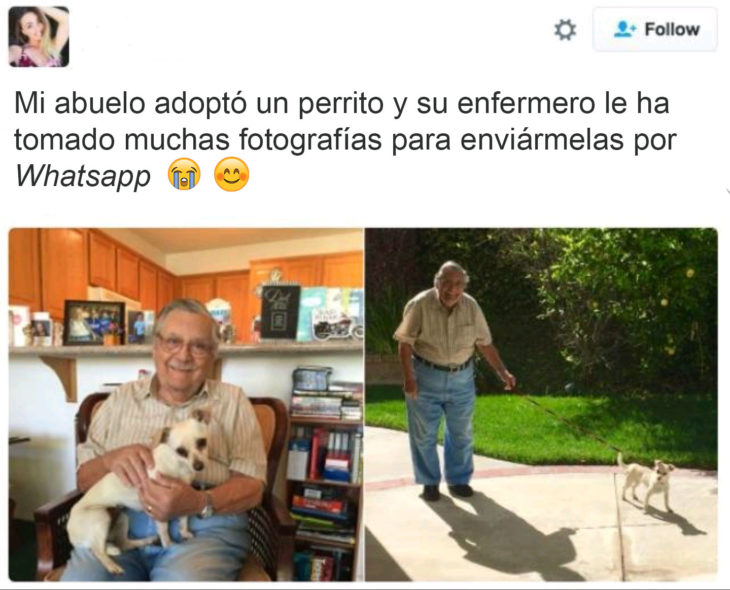 abuelo perrito instagram