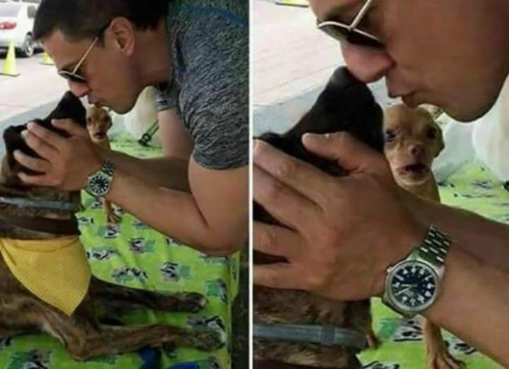 Humano dando cariño a un perro mientras que otro perro los ve feo