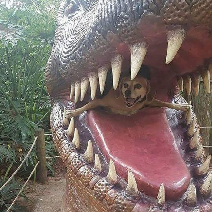 Perro saliendo del hocico de un dinosaurio