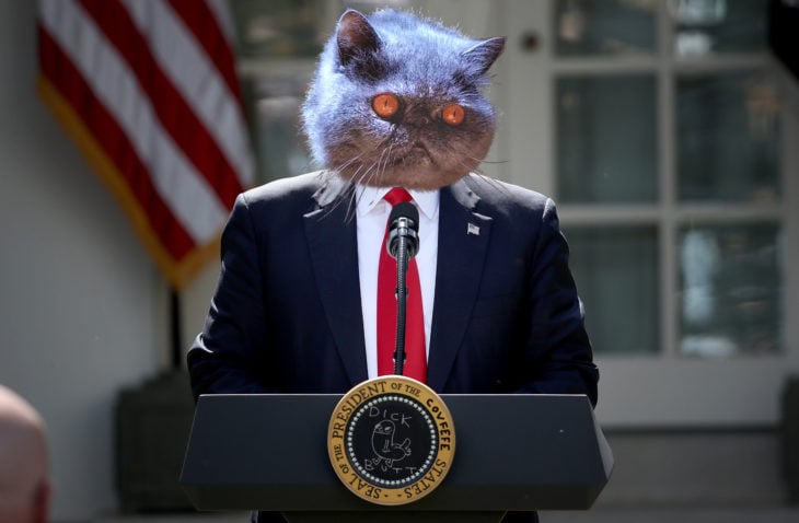 Presidente Gatrump