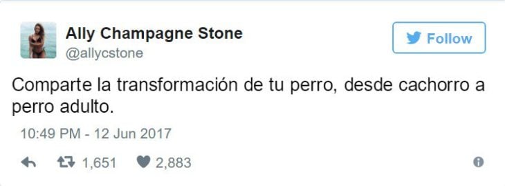 este fue el twit