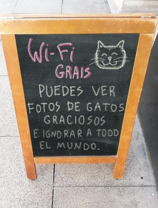 café + gatos = felicidad