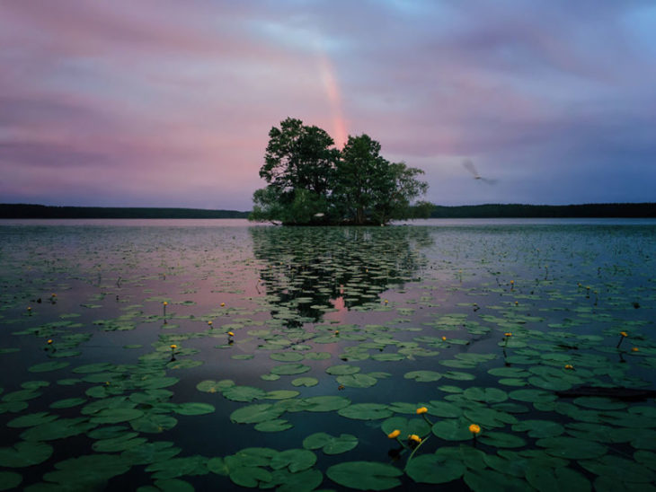 Categoría Naturaleza