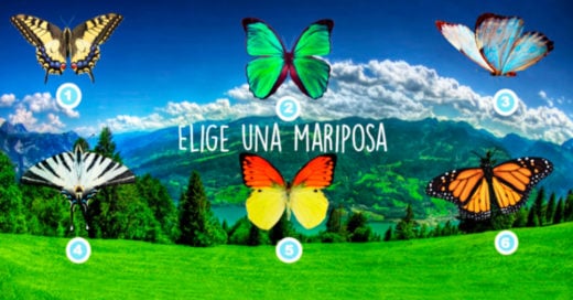 Cover El test de las MARIPOSAS