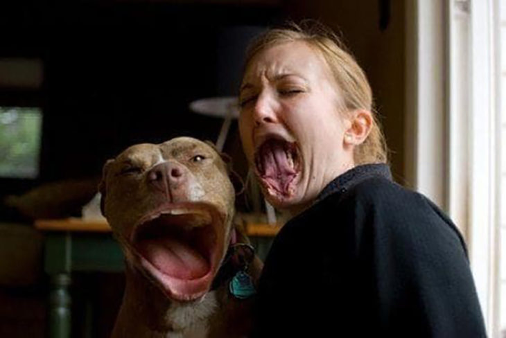mujer cambia su boca con la de su perro por medio de edición