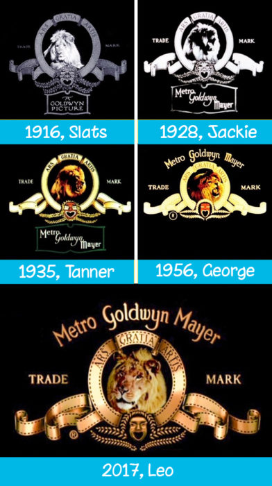 Metro Goldwyn Mayer