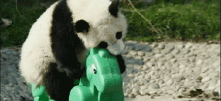 panda se cae de juego