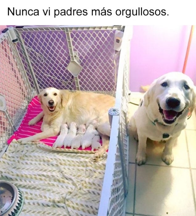 Somos una feliz familia