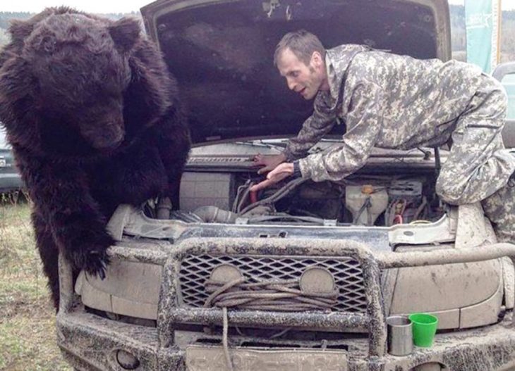 oso mecanico camion ruso