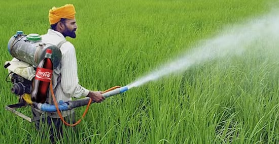 pesticida en los cultivos
