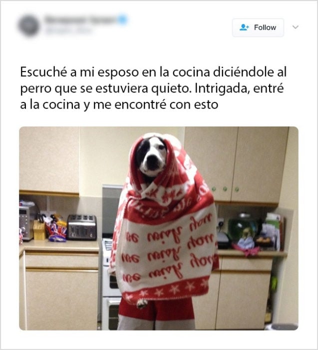 mi marido es un perro