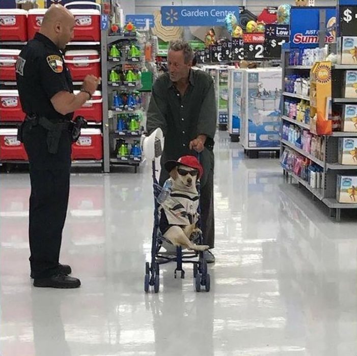 hombre paseando en el supermercado con su mascota en una carriola