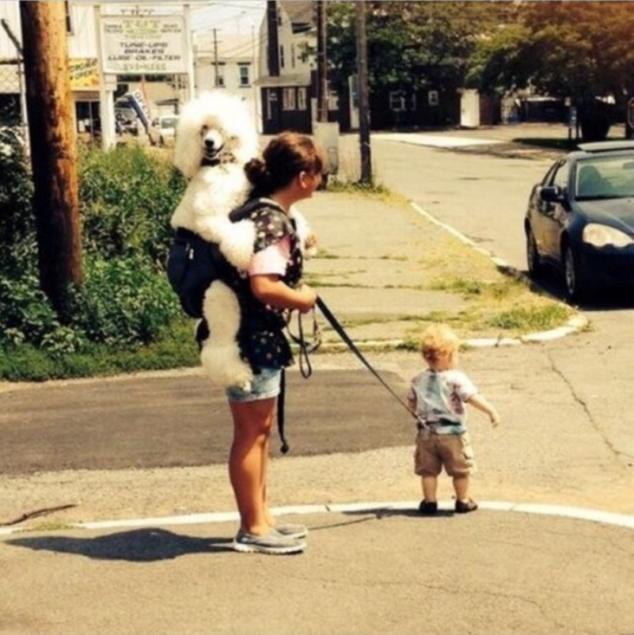 Madre paseando con su hijo y su mascota de manera equivocada