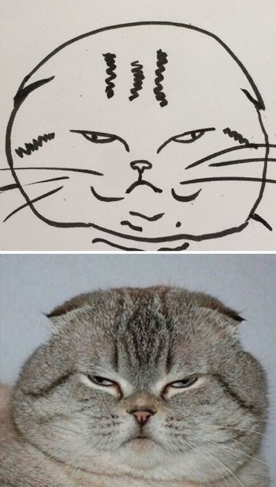 Dibujos realistas gato - molesto