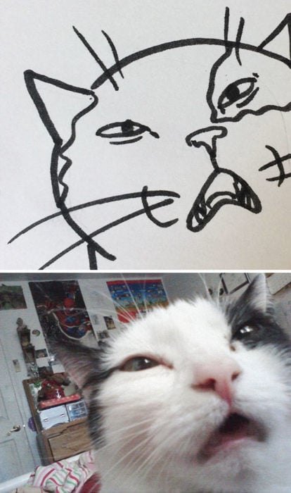 Dibujos realistas gato - cara de extrañado