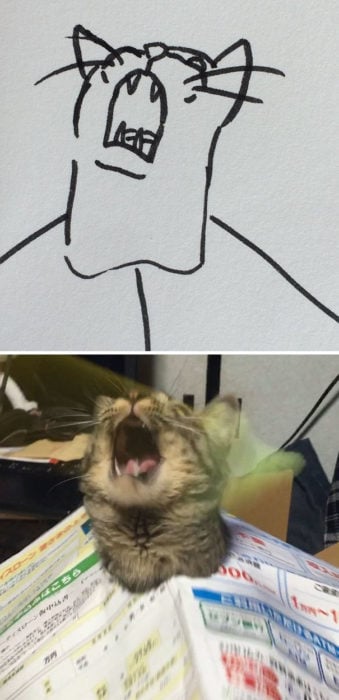 Dibujos realistas gato - aullando 